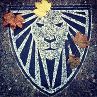 Custom Lion engraving