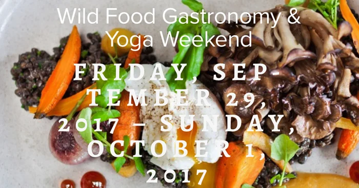 Wild-Food-Gastronomy-&-Yoga-Weekend.jpg