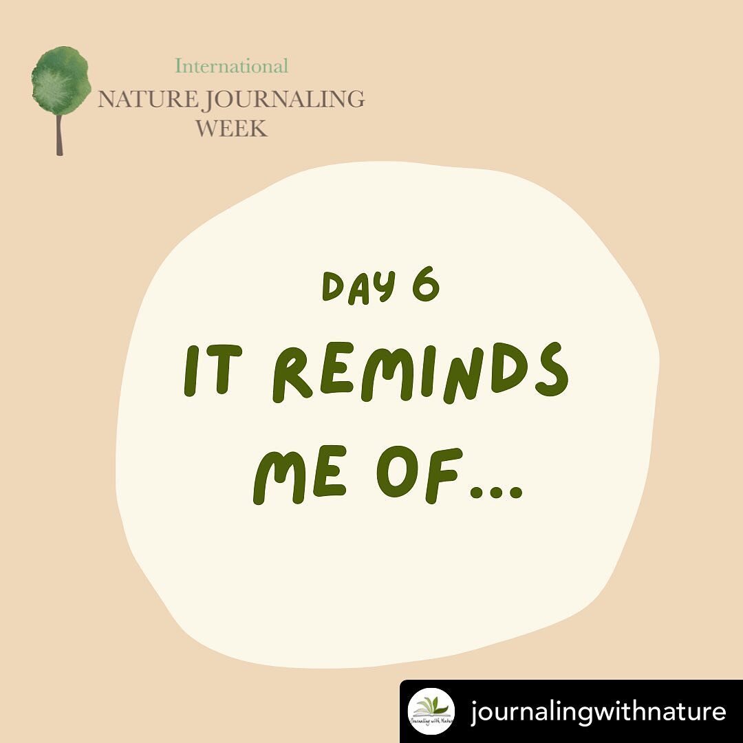 #REPOST from @journalingwithnature Day 6 &ndash; It reminds me of&hellip;⁣
⁣
Today&rsquo;s theme for International Nature Journaling Week is &ldquo;It Reminds Me Of&hellip;&rdquo; John Muir Laws defines creativity as &lsquo;the ability to make useful