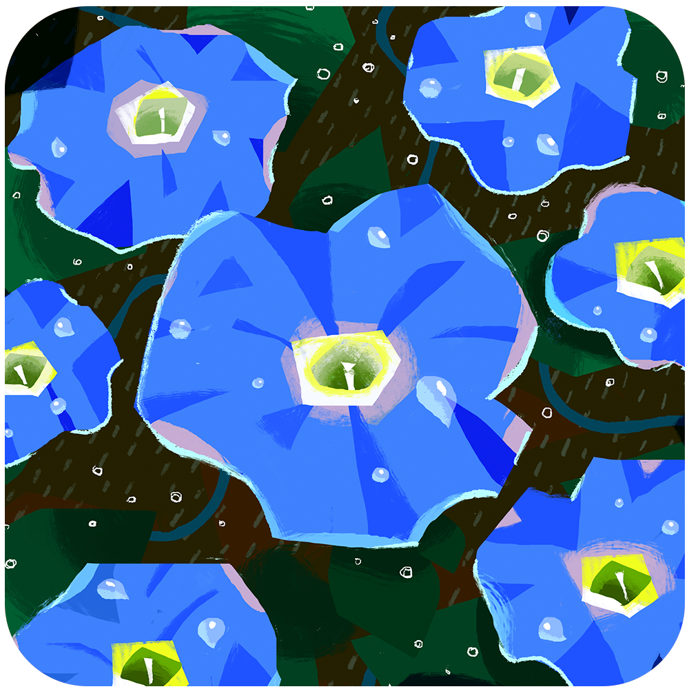Blossmms_logo_1a.png