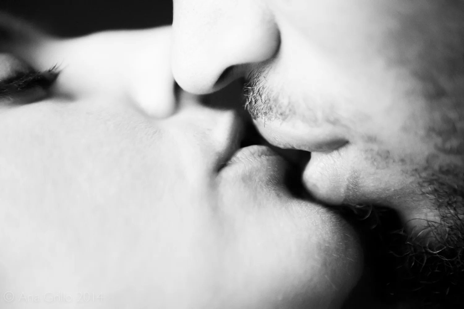 The Kissing Project © 2014