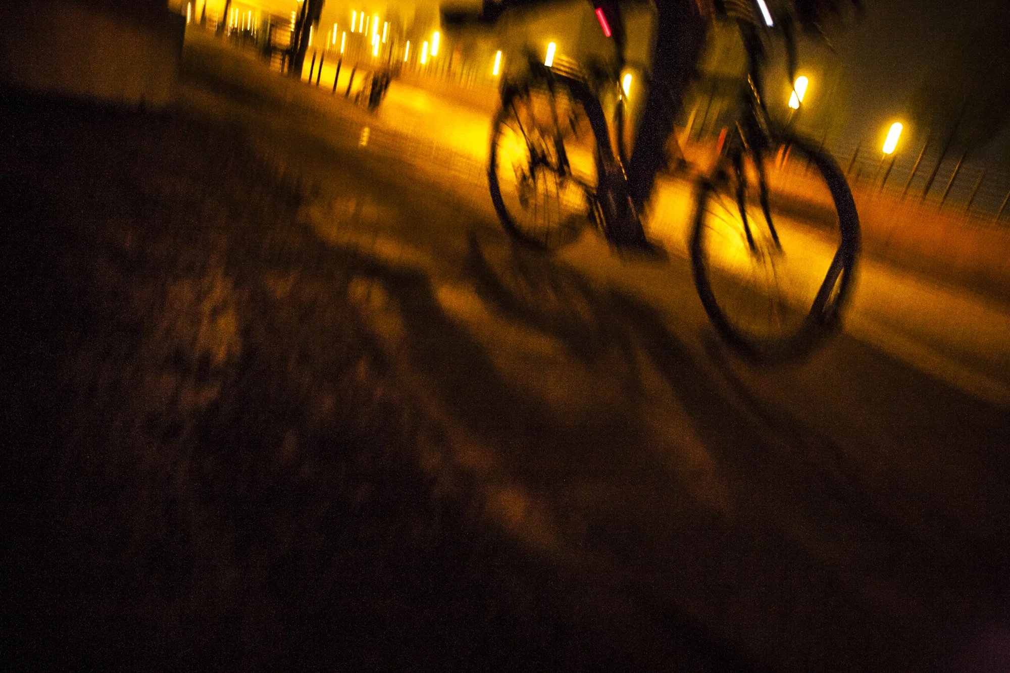 241008_LSF_Grillo384.jpg