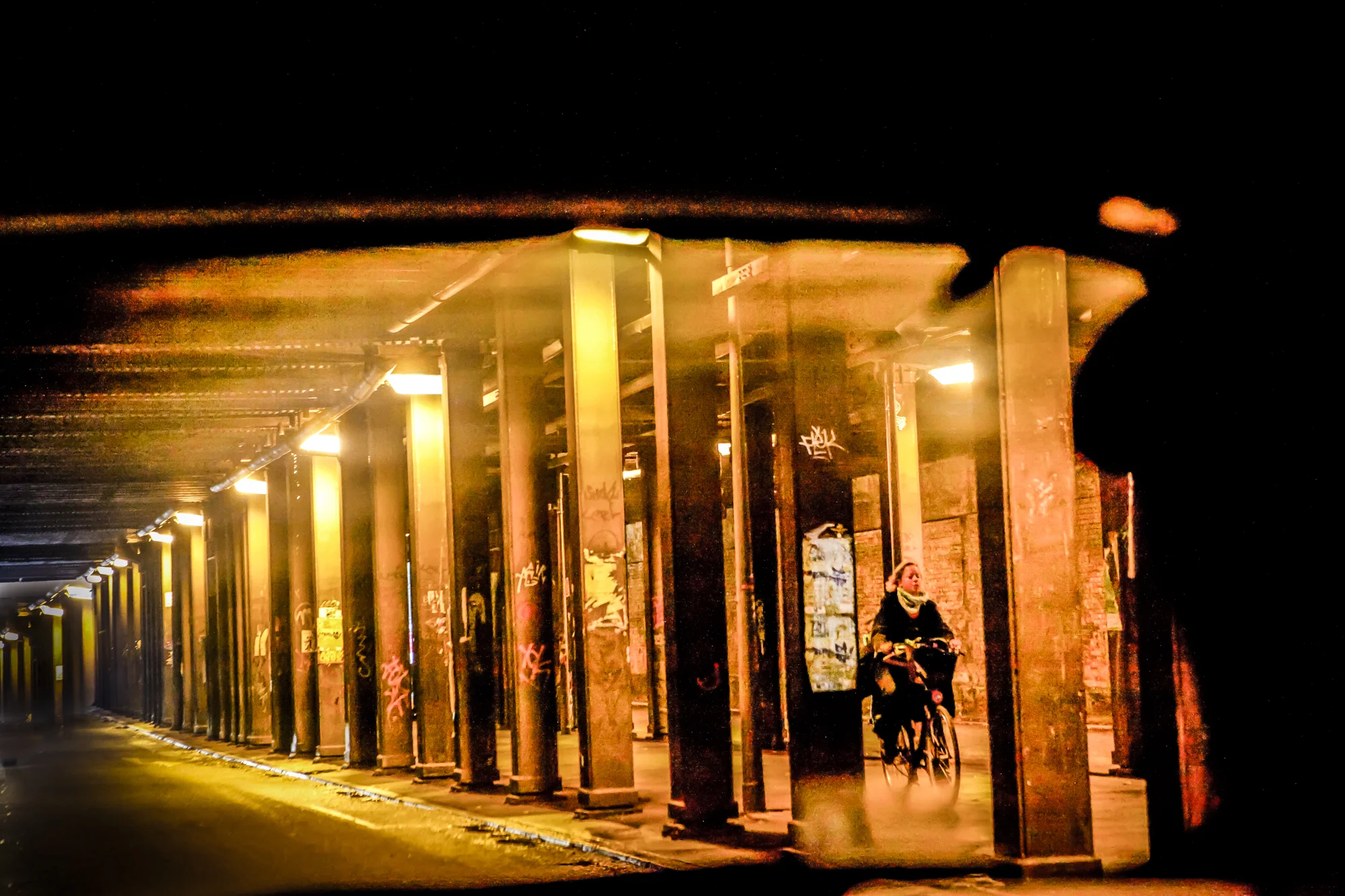 20091023_LSF_0157.jpg