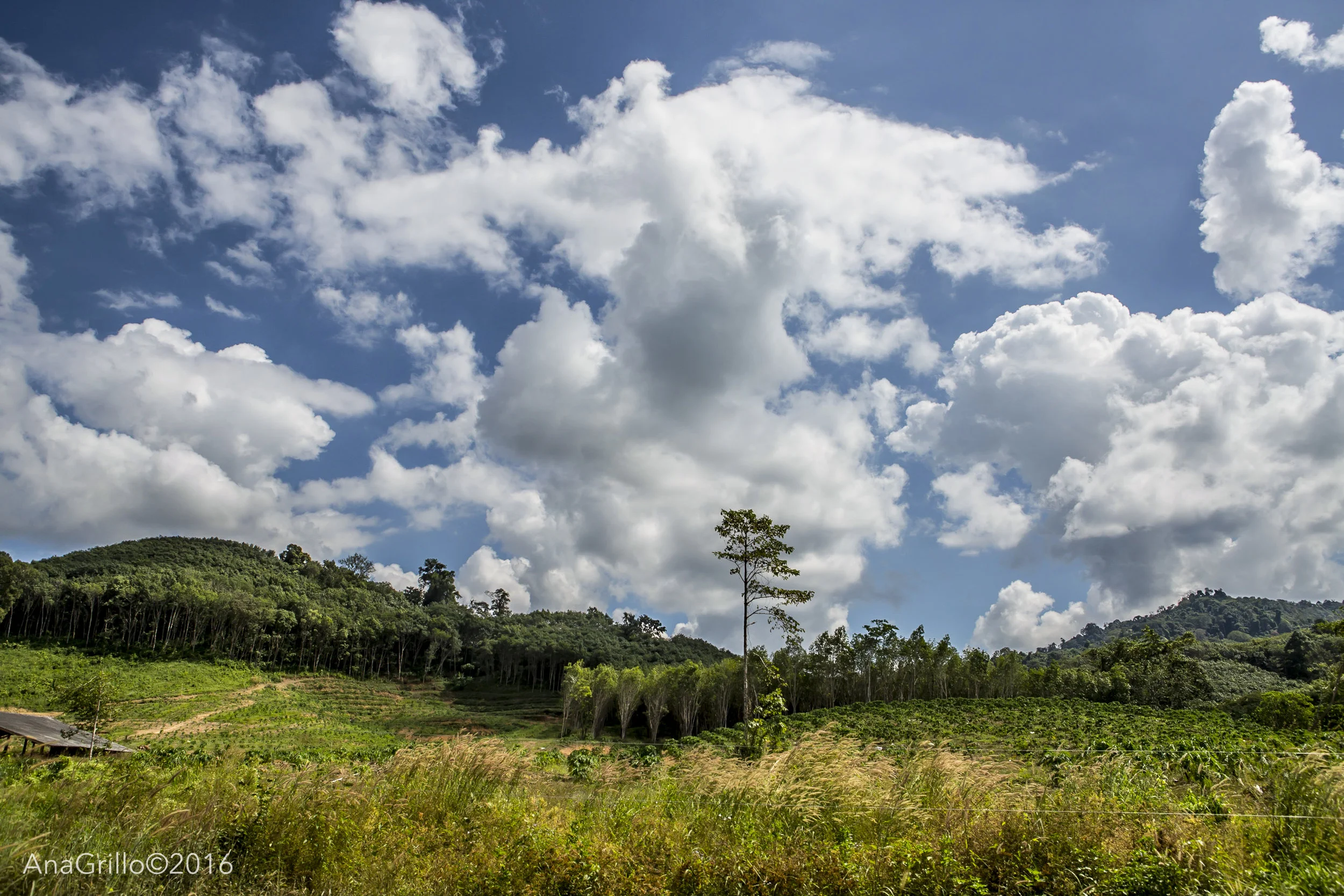 20161126_BTEH_CHANTABURI-159.jpg