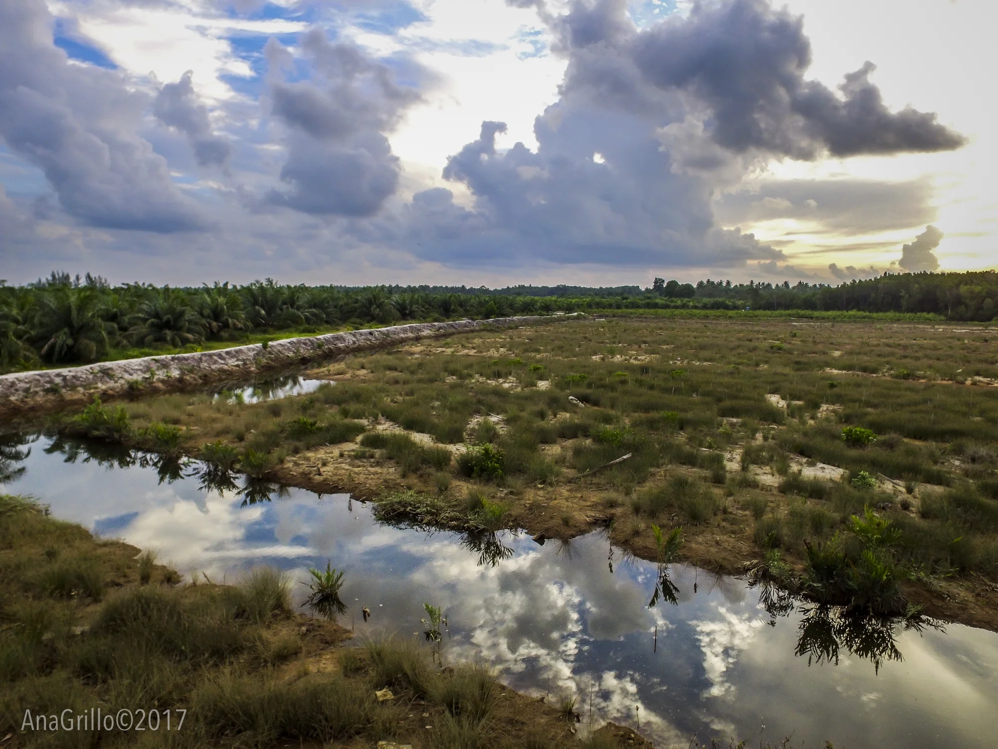 20170421_GRILLOMARRIOT_DRONE-615.jpg