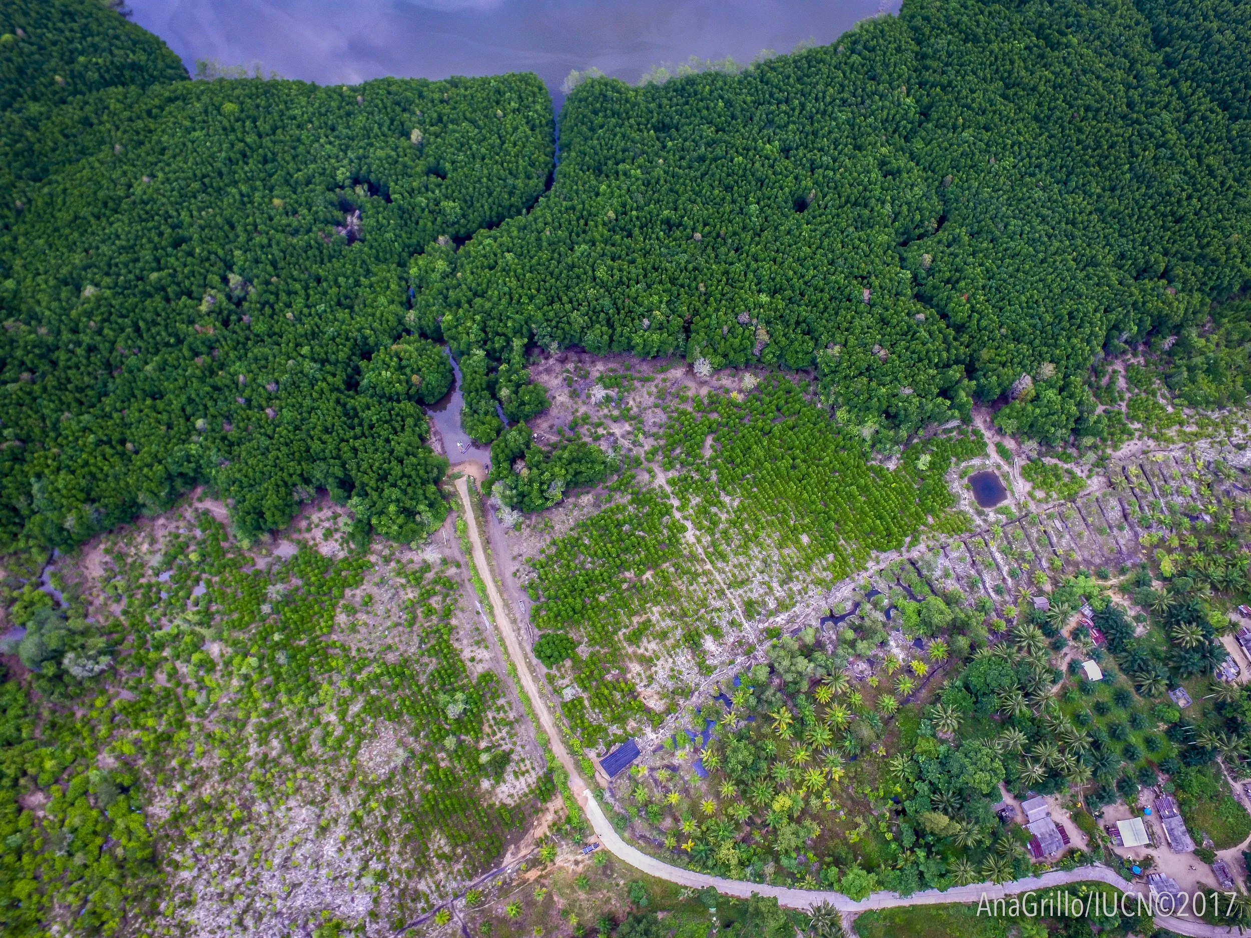 20170421_GRILLOMARRIOT_DRONE-515.jpg