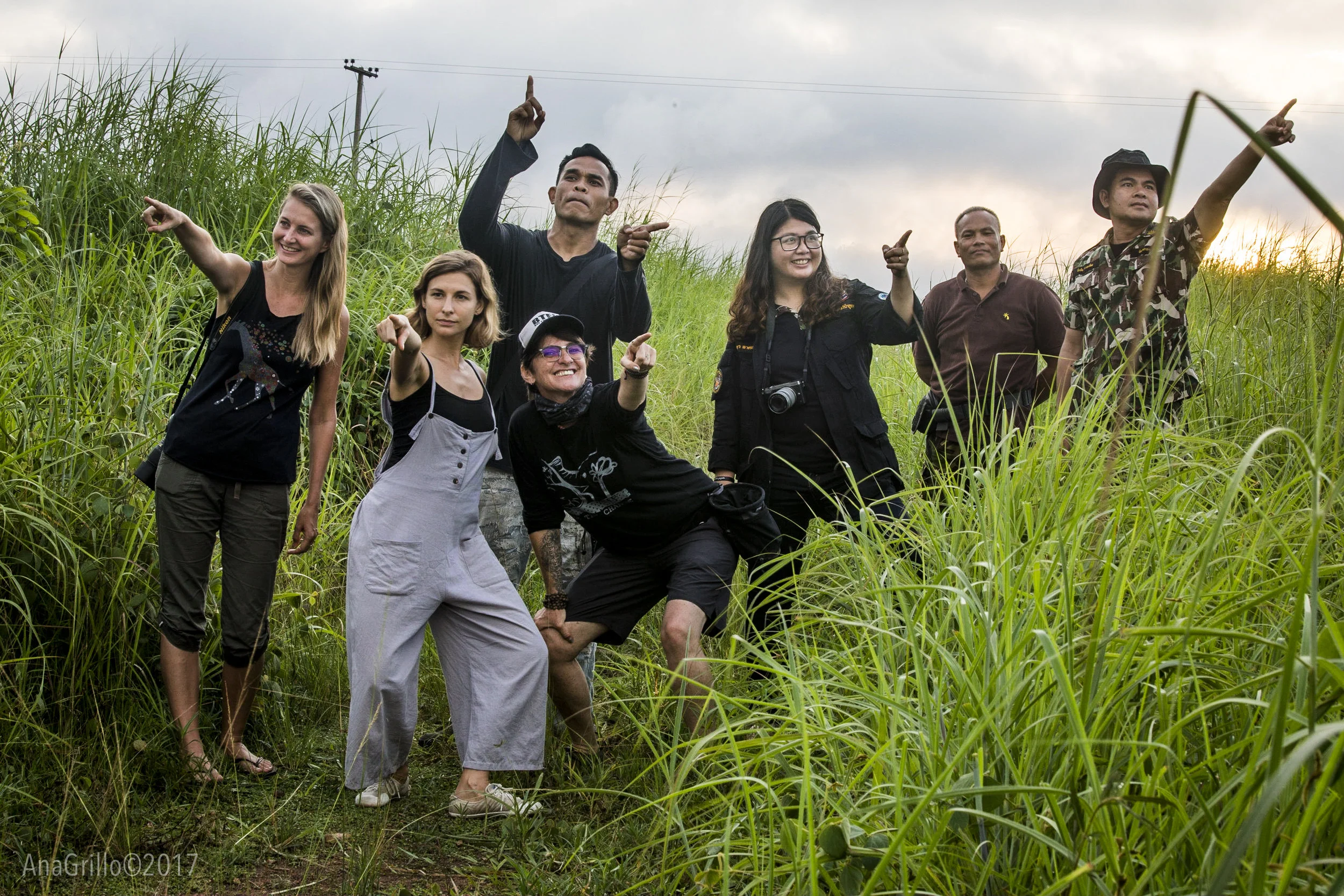 Team Bee the Change in the savannahs of Kaeng Hang Meo, Thailand.