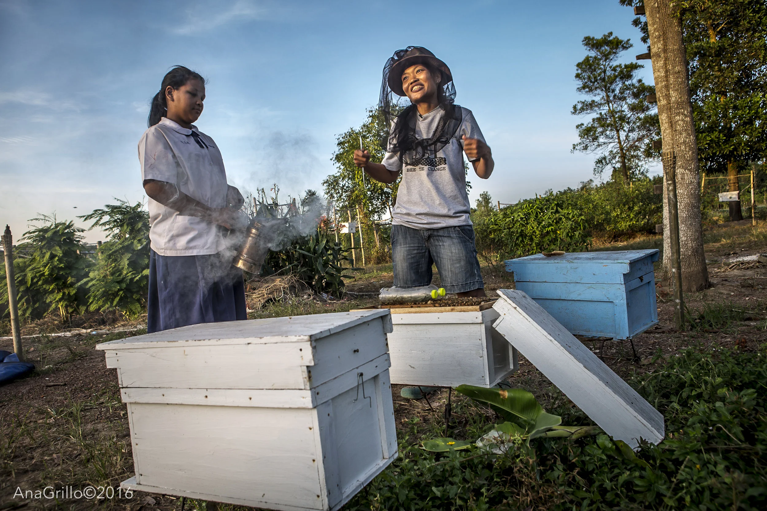 KUNG AND THE BEEHIVE FENCE SOLUTION