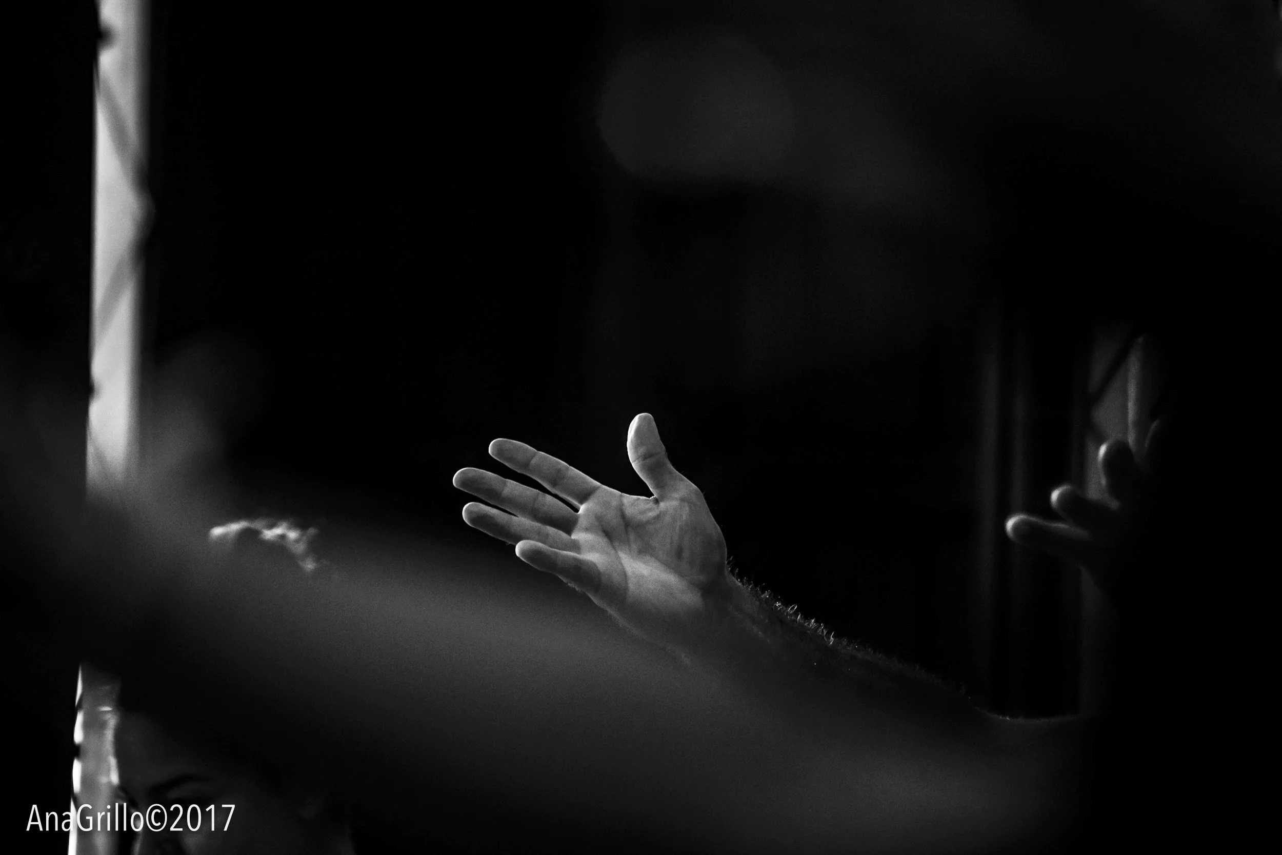 20170831_WILDROSE-79.jpg