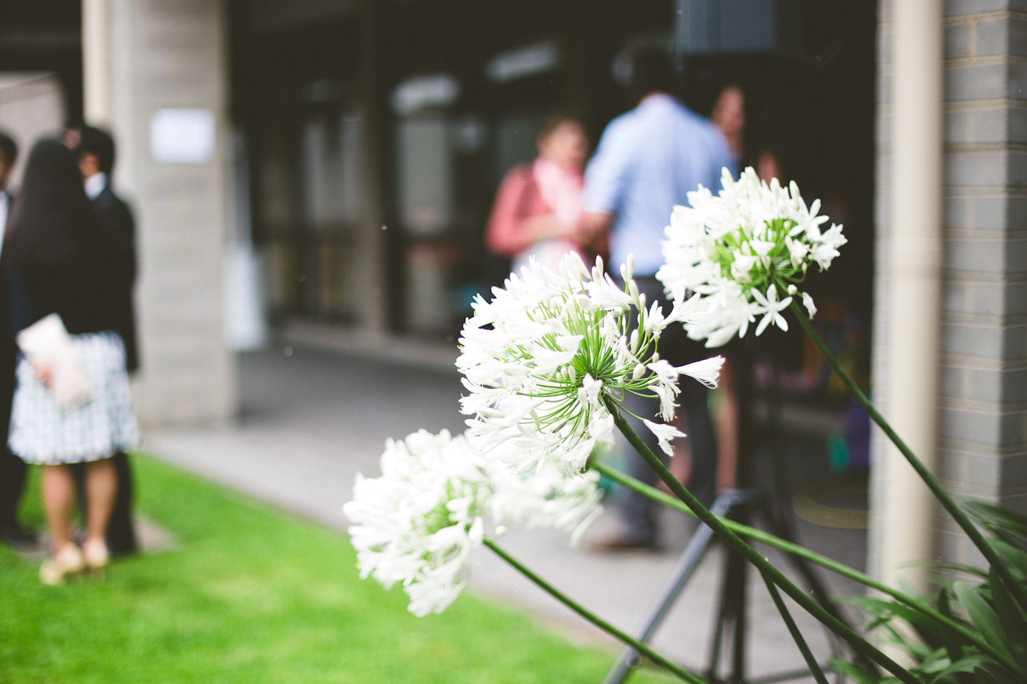 CBWed-99.jpg