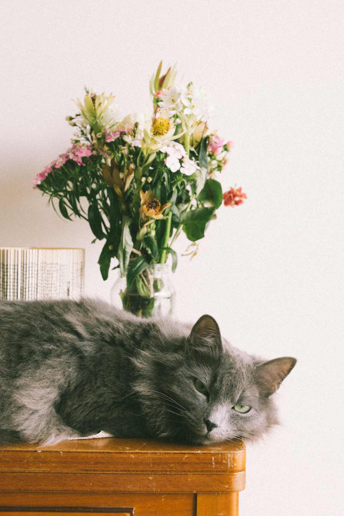 Gus-4.jpg