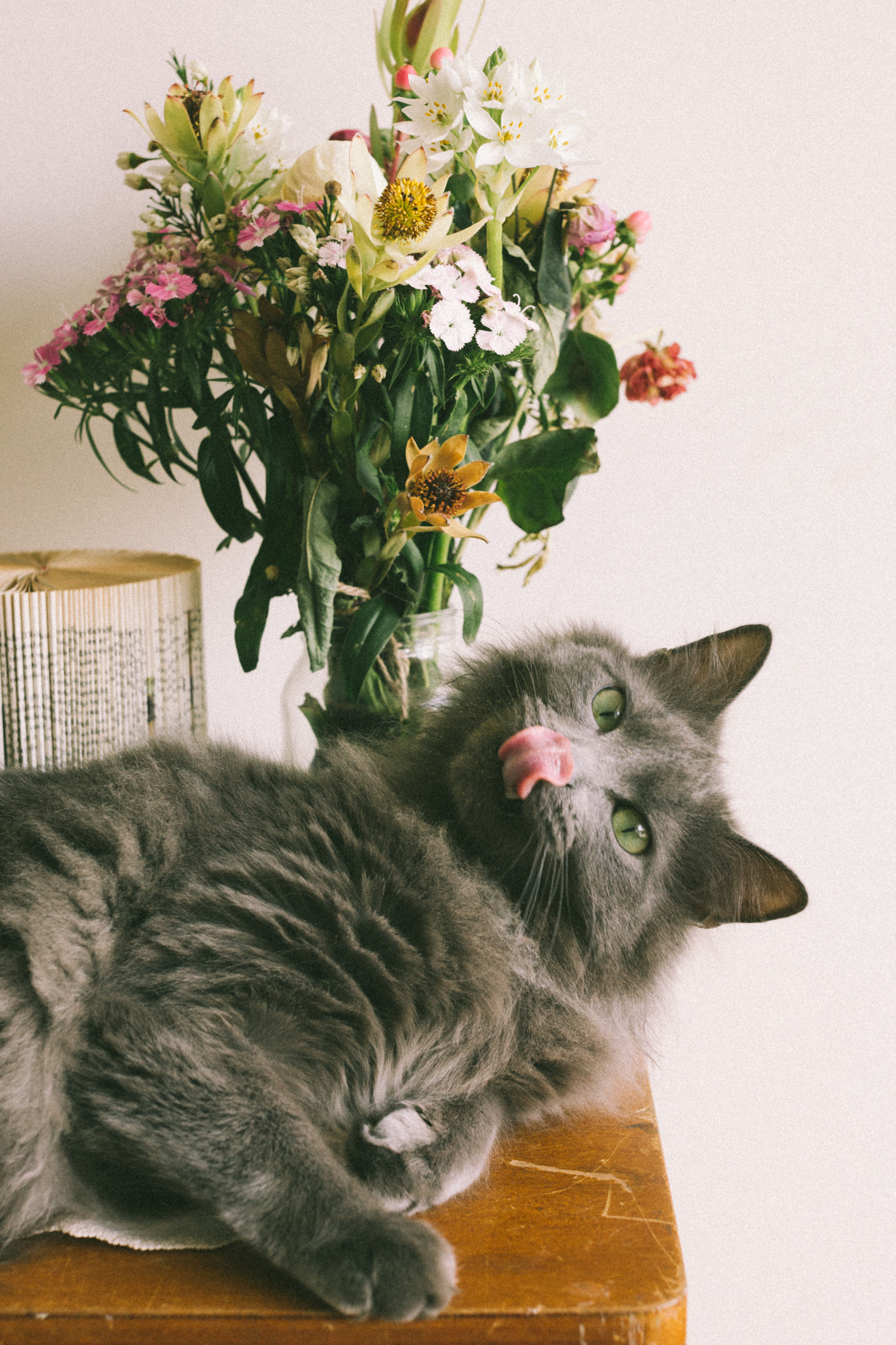 Gus-9.jpg
