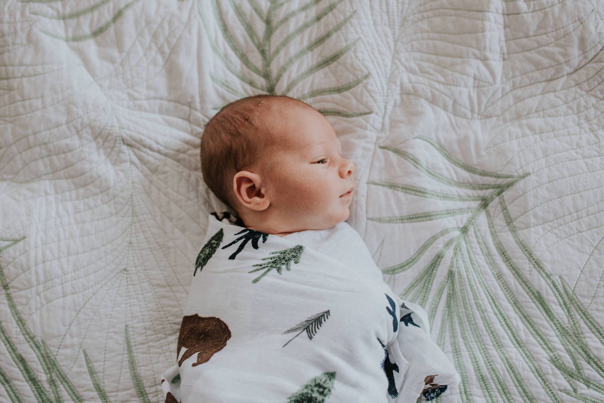 sophie-timothy-melbourne-family-photographer-ARLO-8.jpg