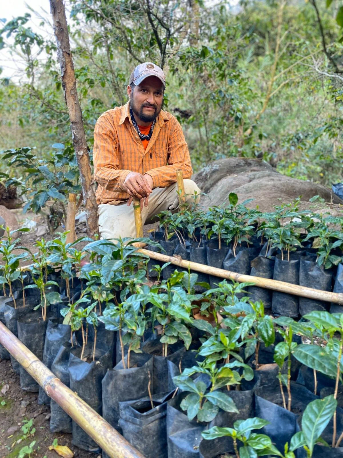 MEXICO FTO ALTOS DE CHIAPAS