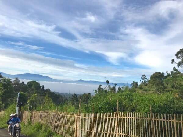 Sumatra Kerinci Grade 1