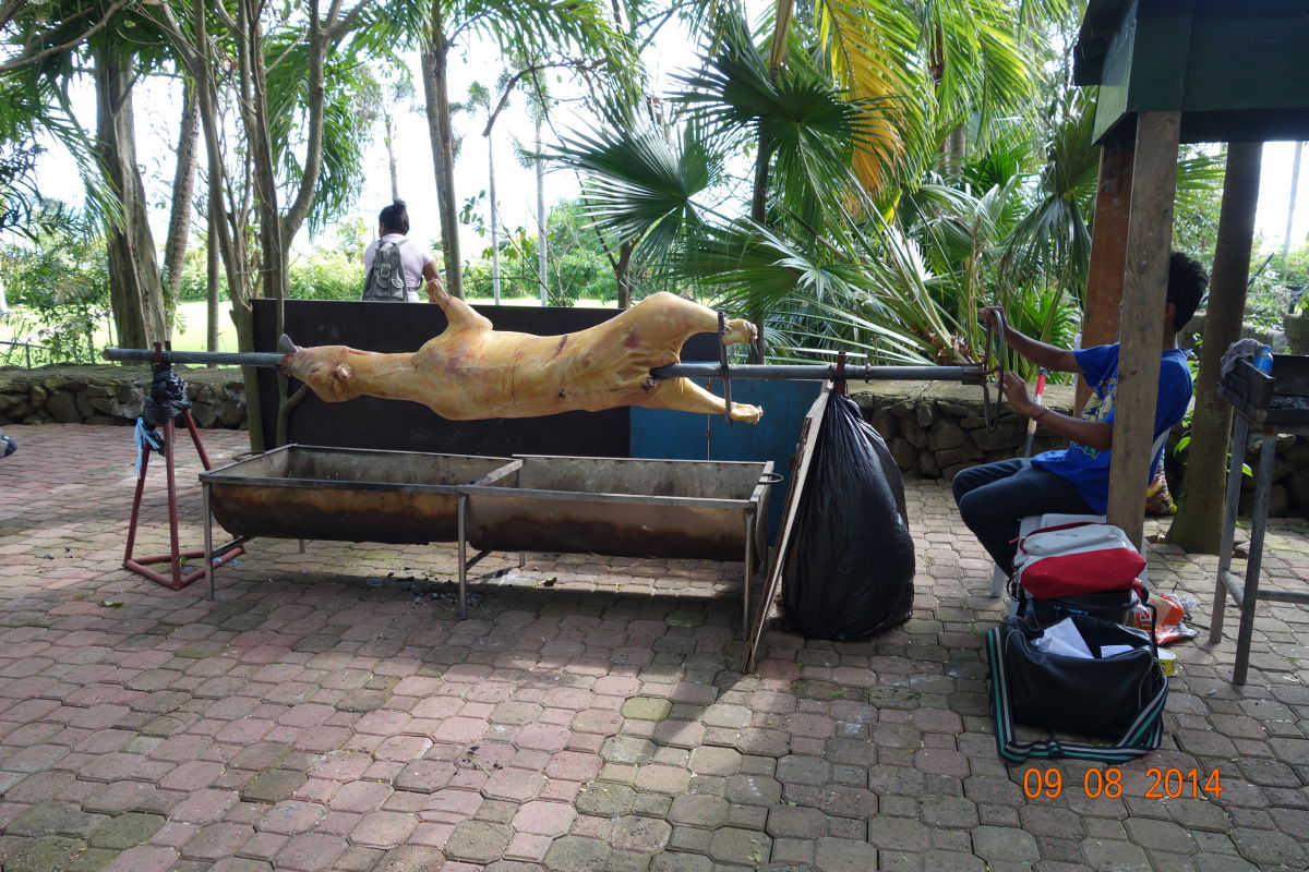 dsc08779.jpg