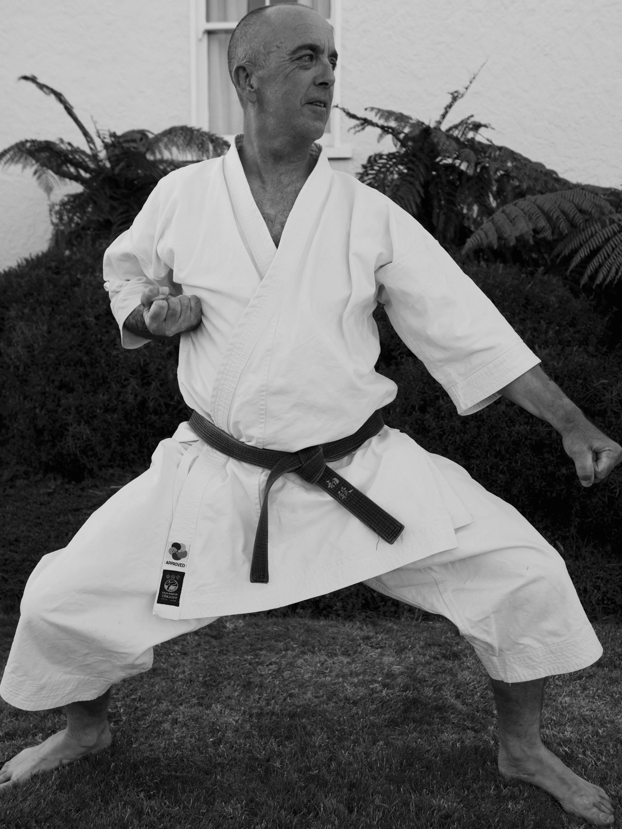 Paul henley-sensei