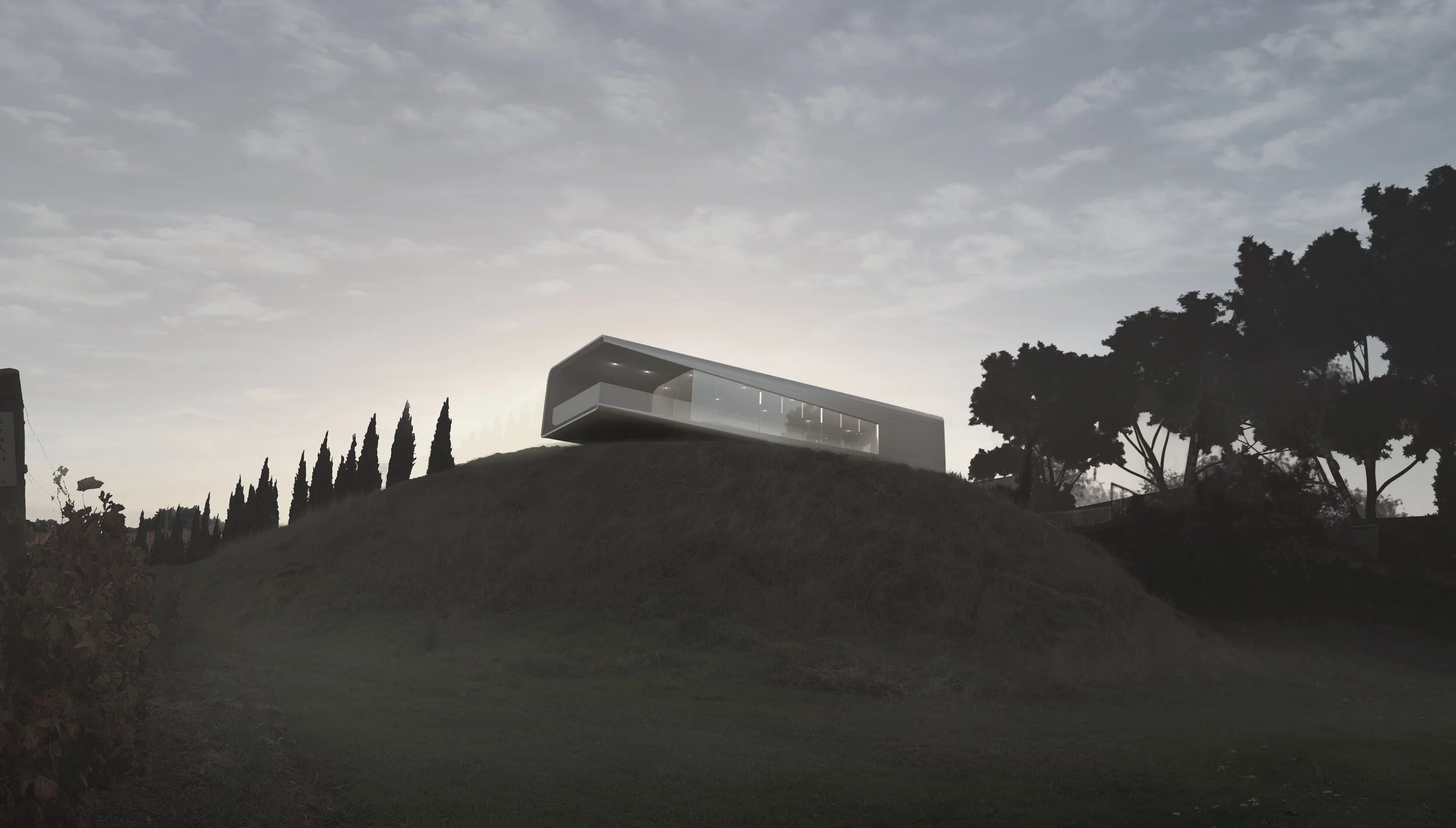 View from the vineyard.