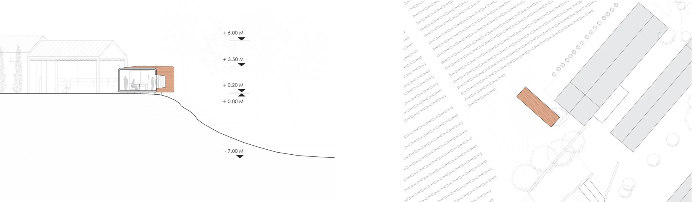 Site Plan and Section.jpg