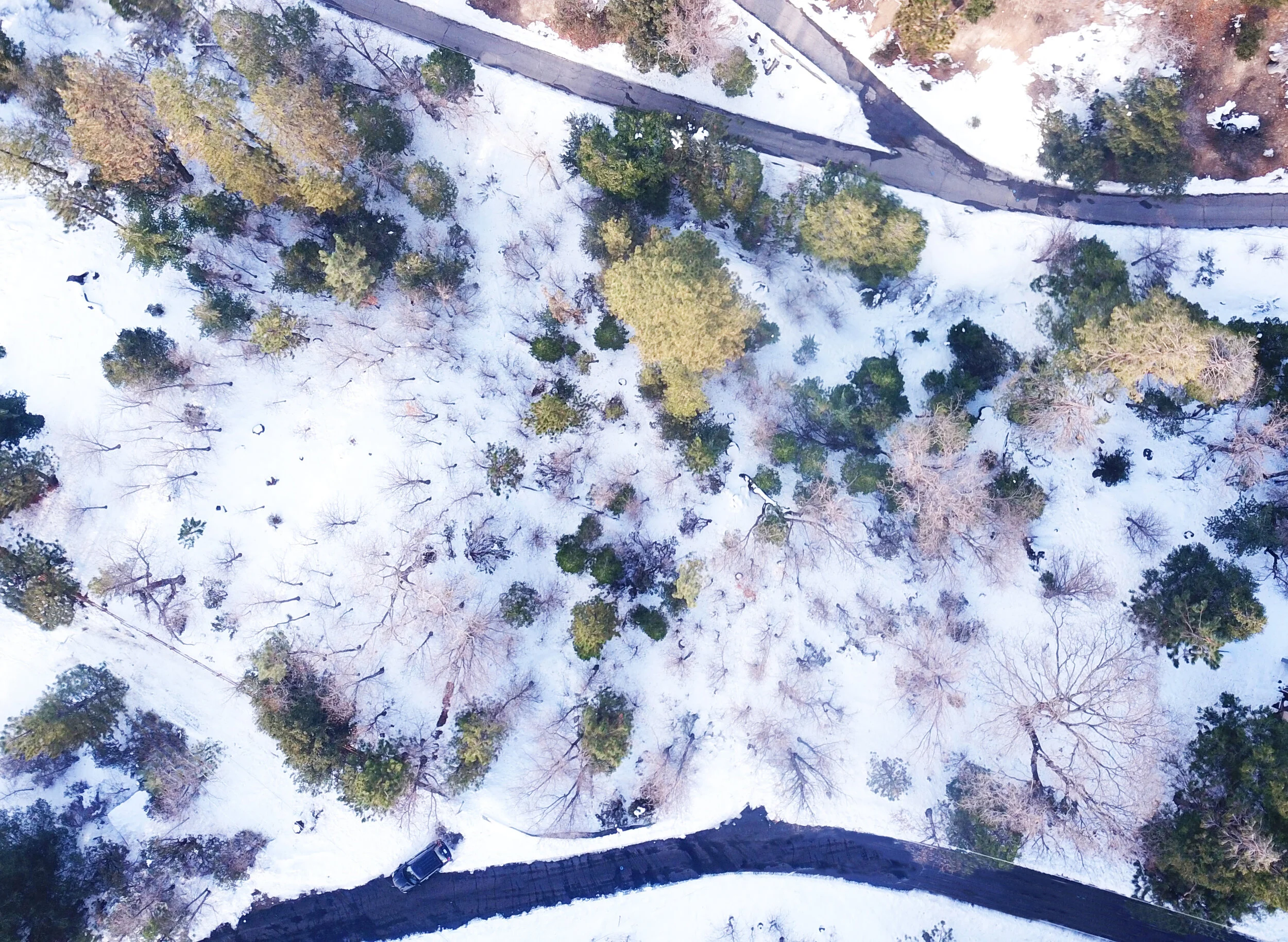 DJI_Centered Overhead_altered.jpg