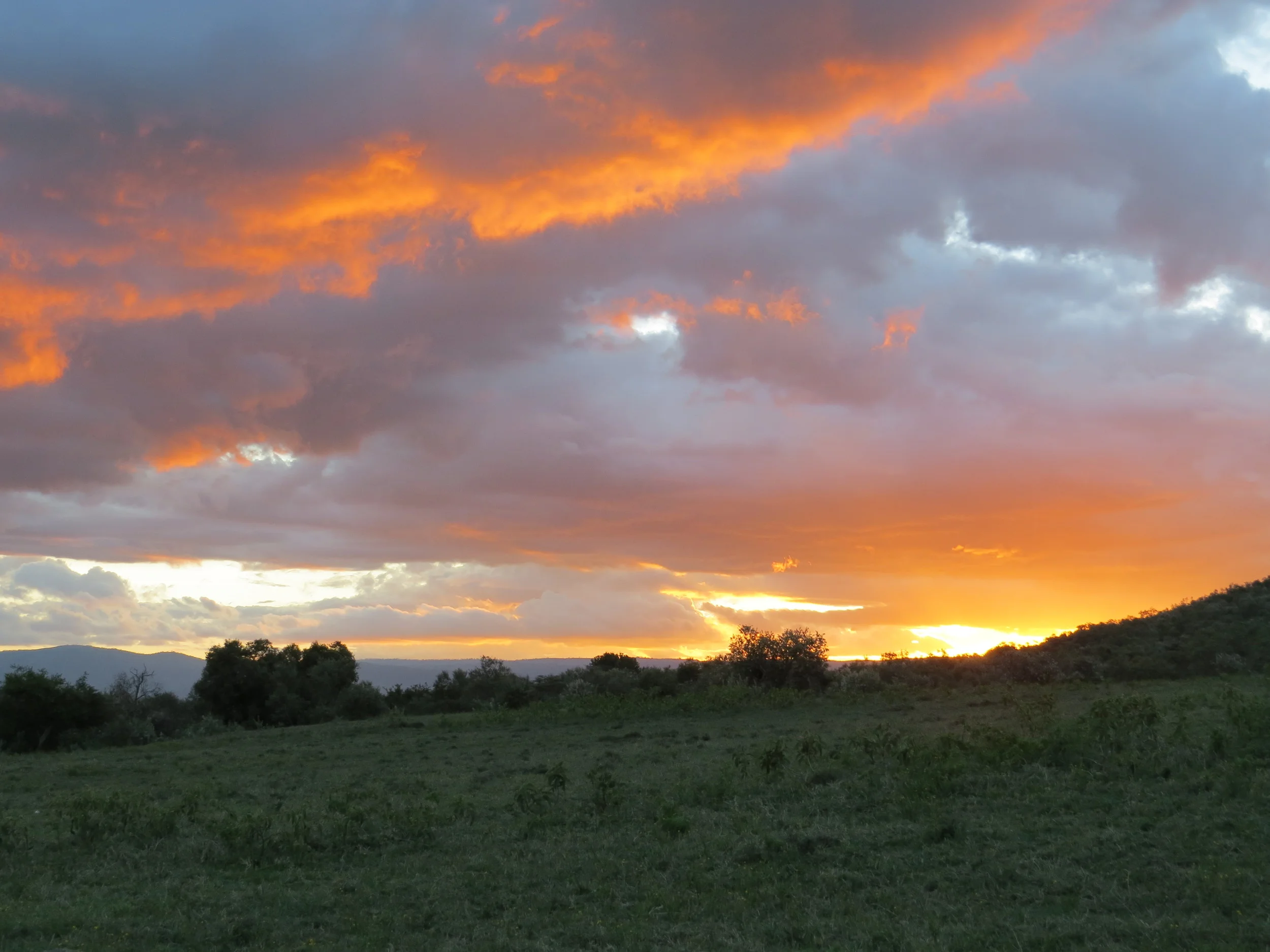 IMG_0871.JPG