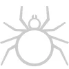 Ticks