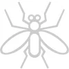 Black flies
