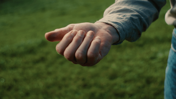 ezgif.com-video-to-gif (4).gif