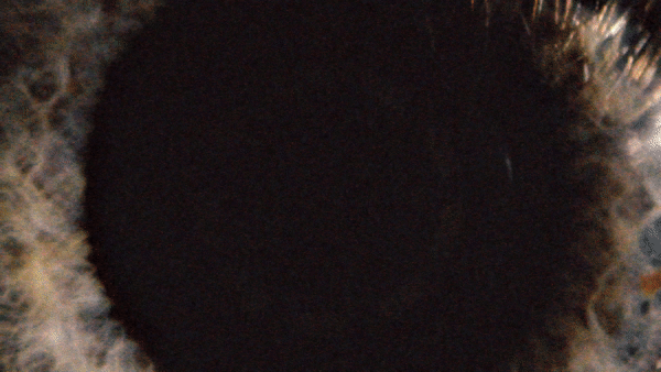 ezgif.com-video-to-gif (3).gif