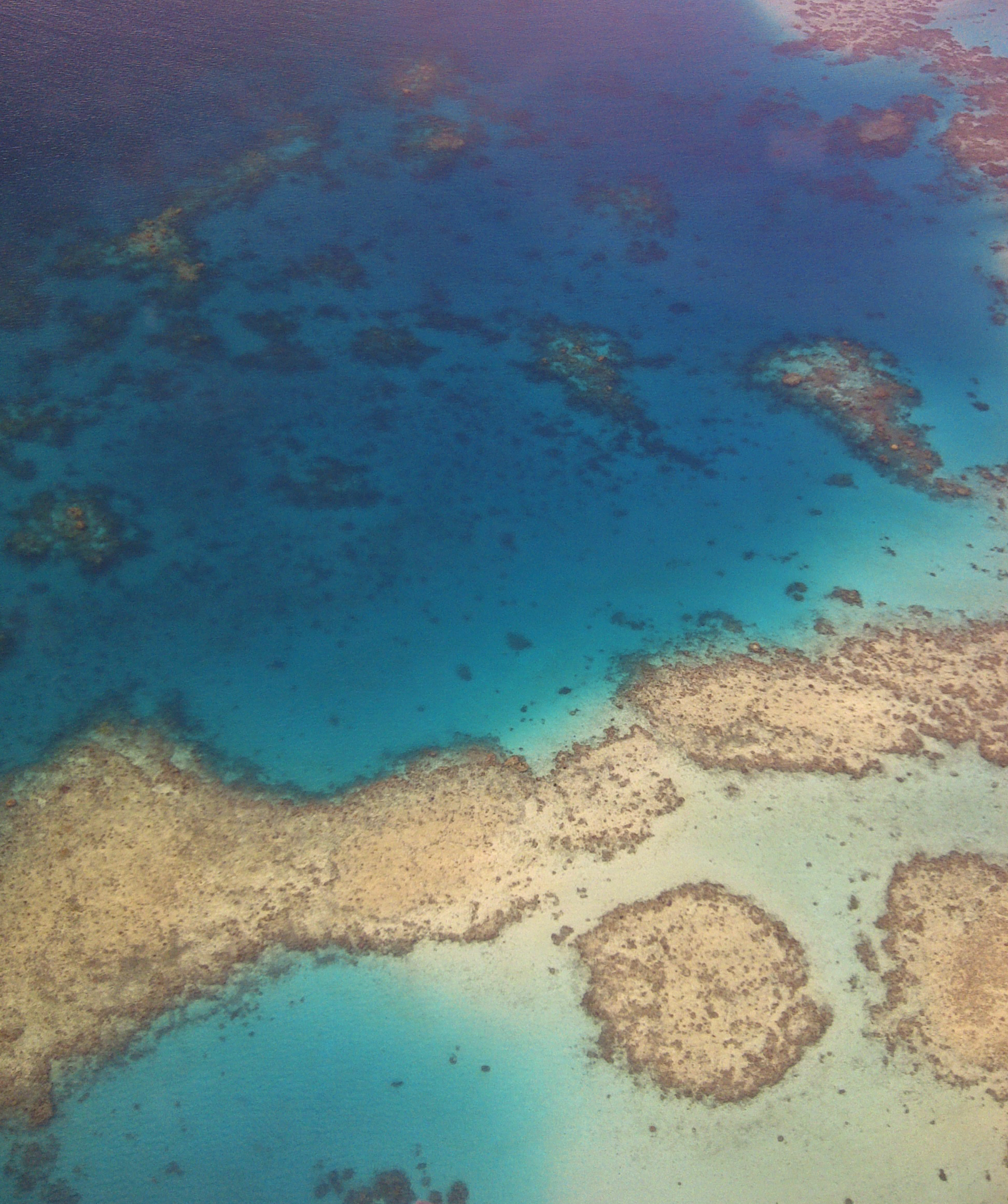 diving in fiji resort