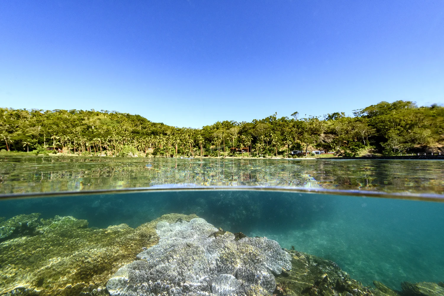 Fiji Resort - House Reef Snorkel off Jetty
