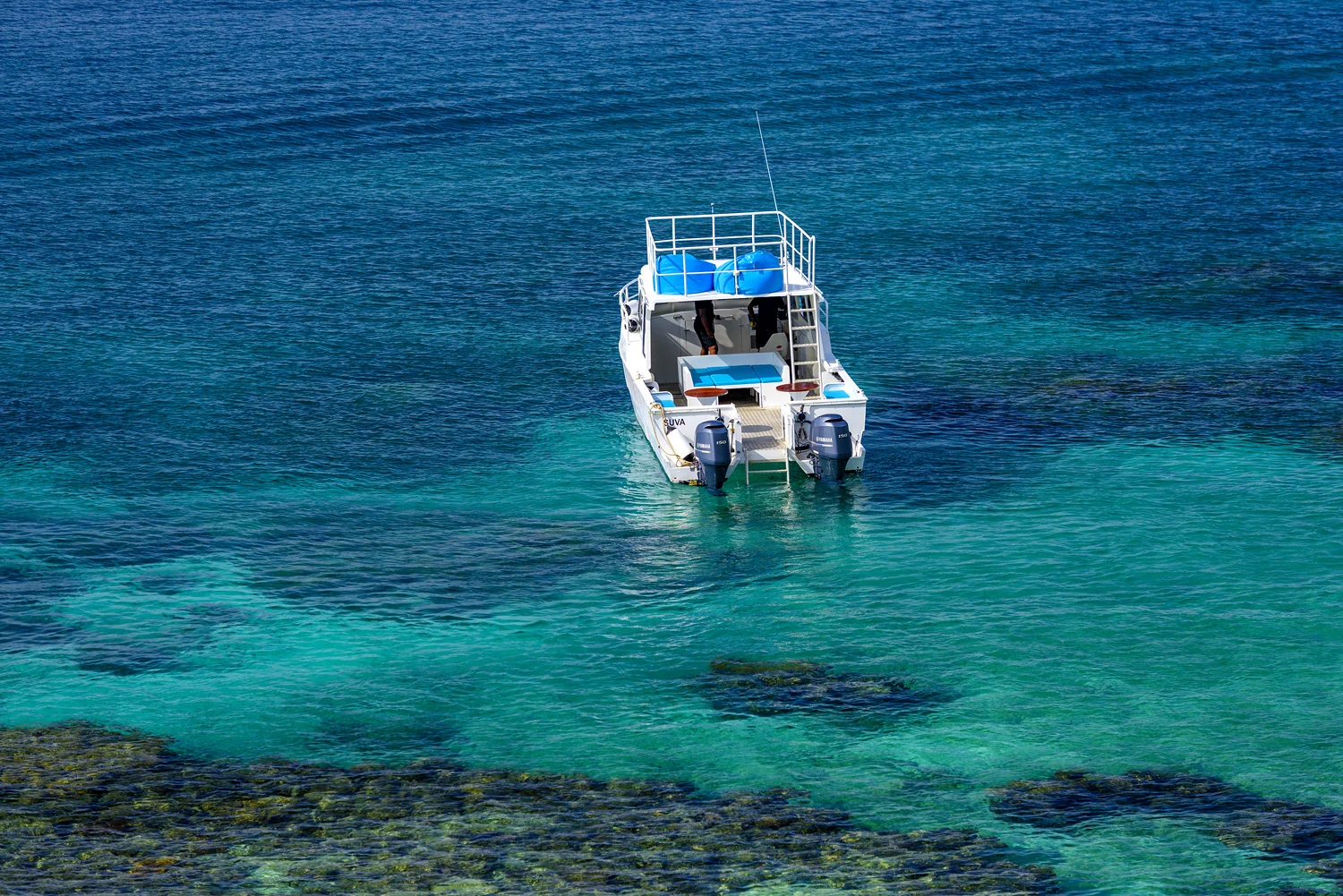 Fiji Resort - Remote 2.0 Boat on the Rainbow Reef, Vanua Levu for Fiji's best diving and snorkelling