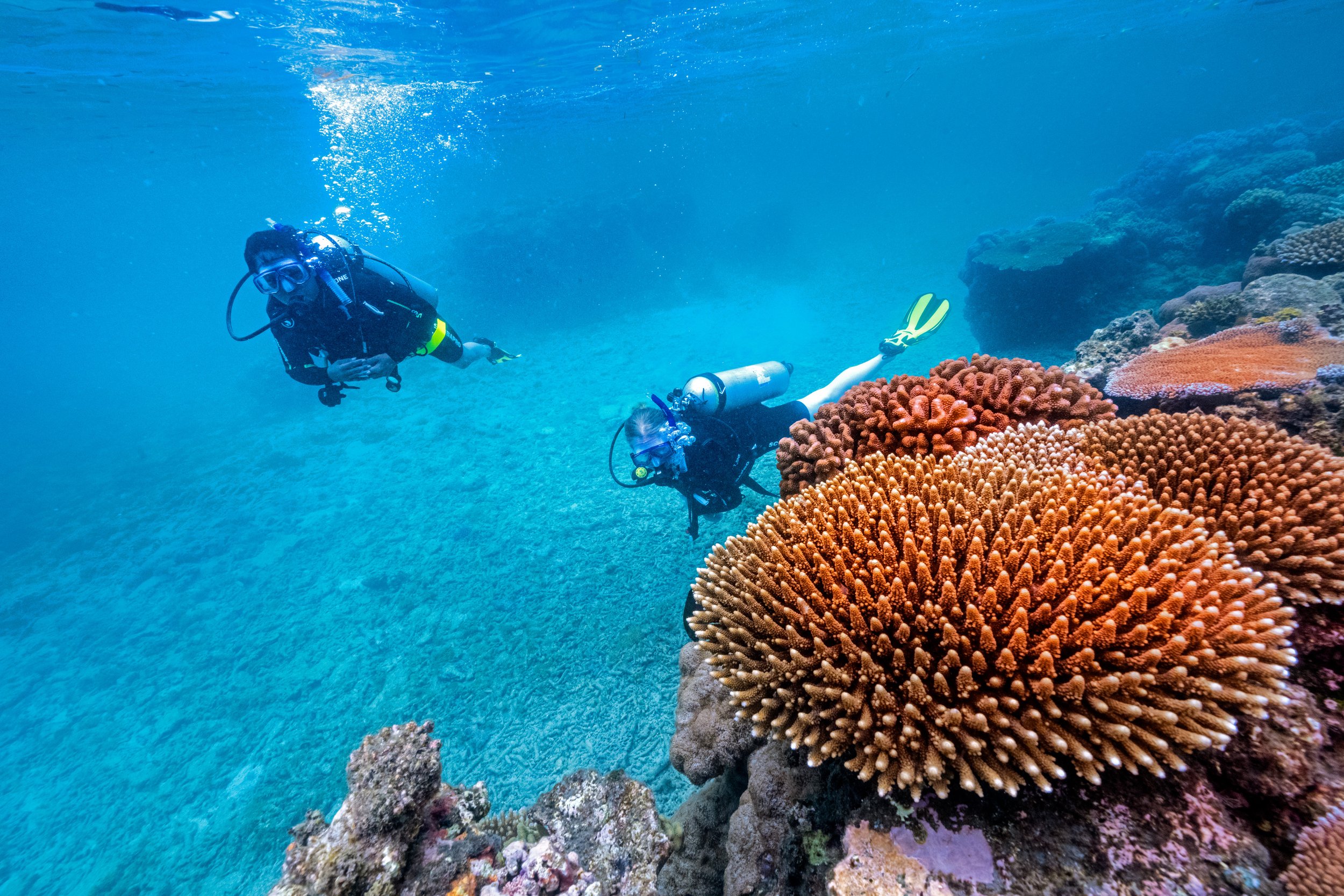 Dive Fiji Rainbow Reef Remote Resort 2.jpg