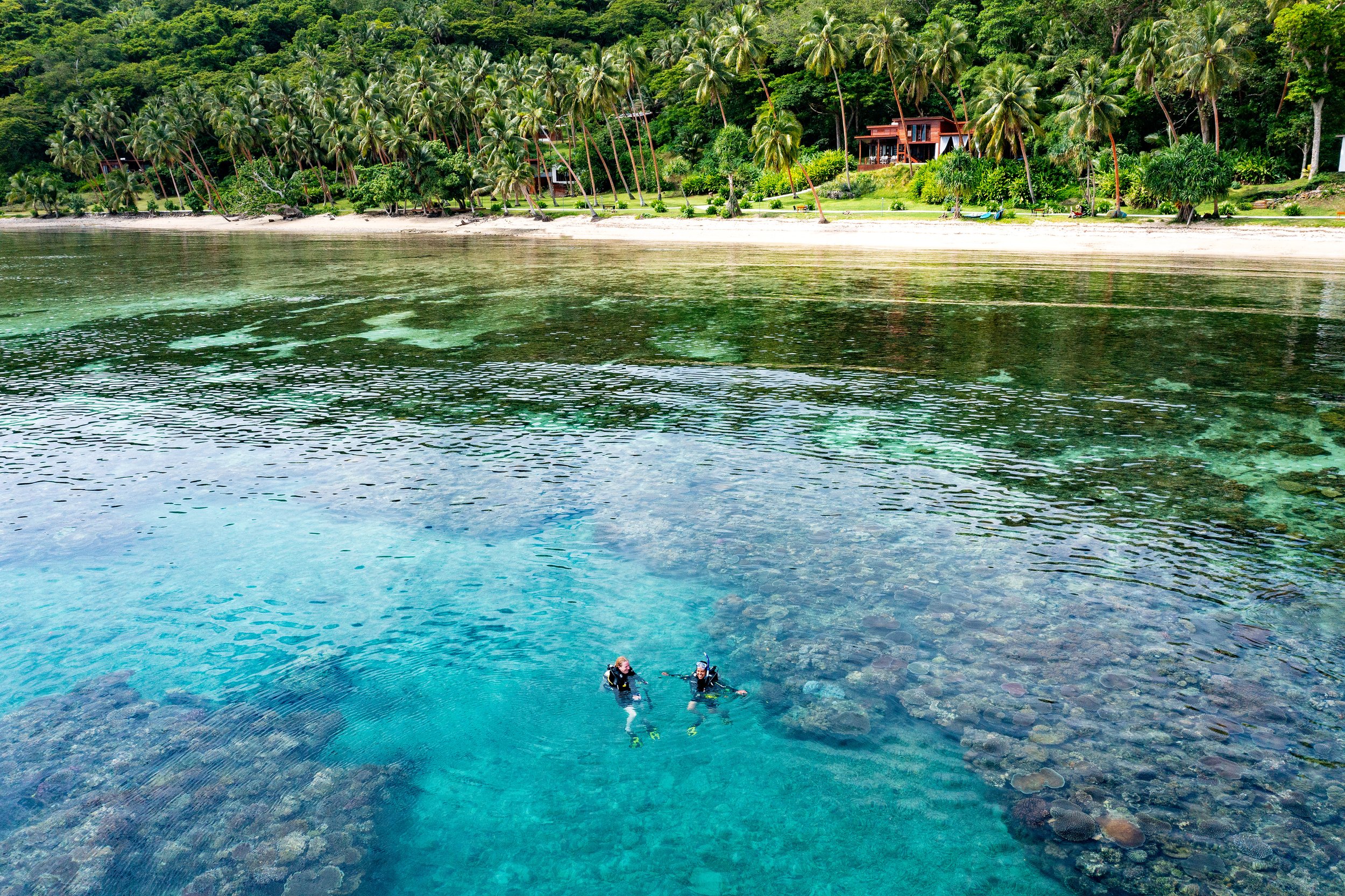 Dive Fiji Rainbow Reef Remote Resort 9.jpg