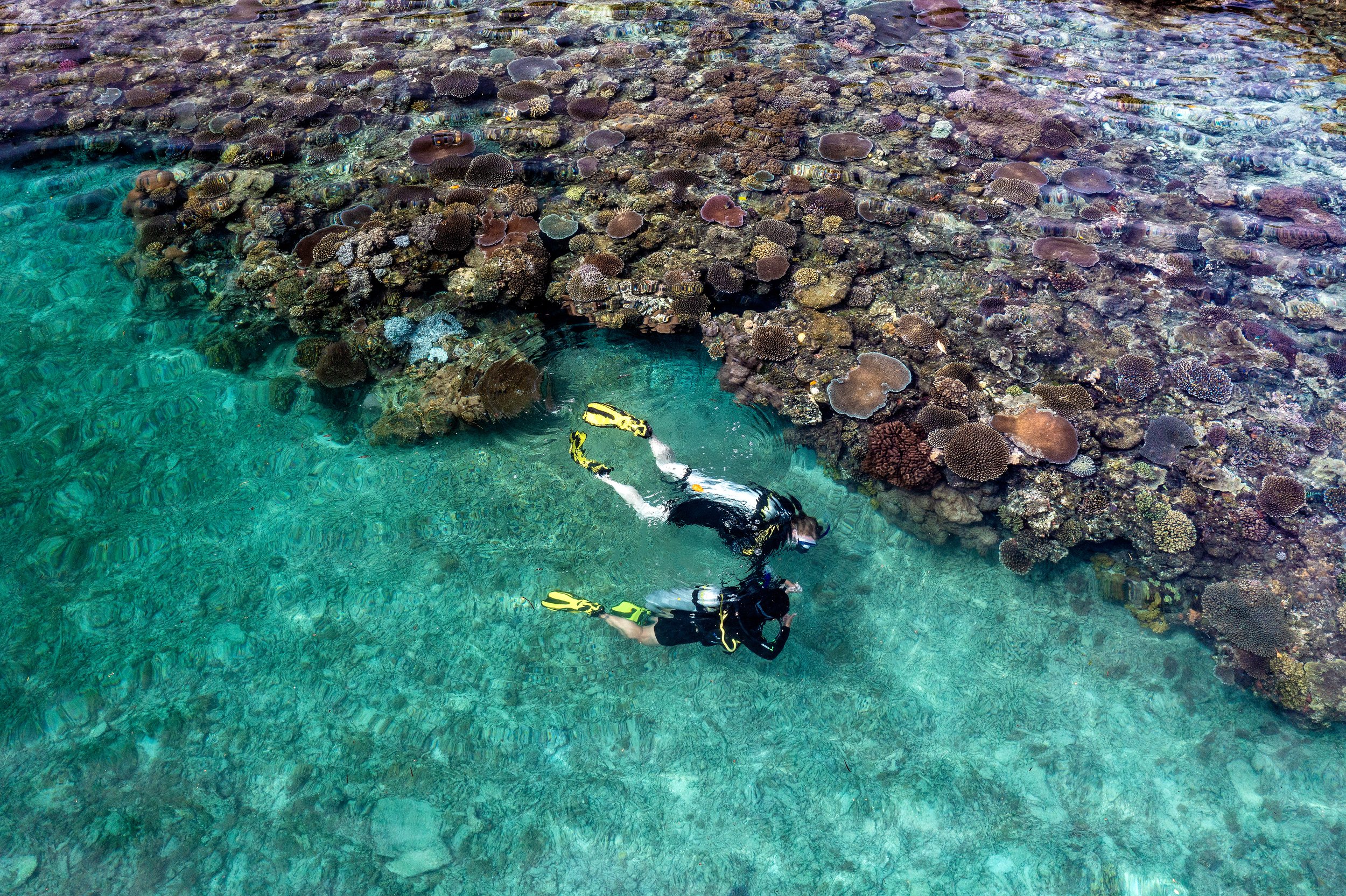 Dive Fiji Rainbow Reef Remote Resort 5.jpg
