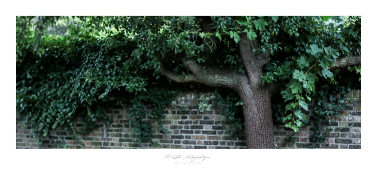 Wedding_Richmond_23.jpg