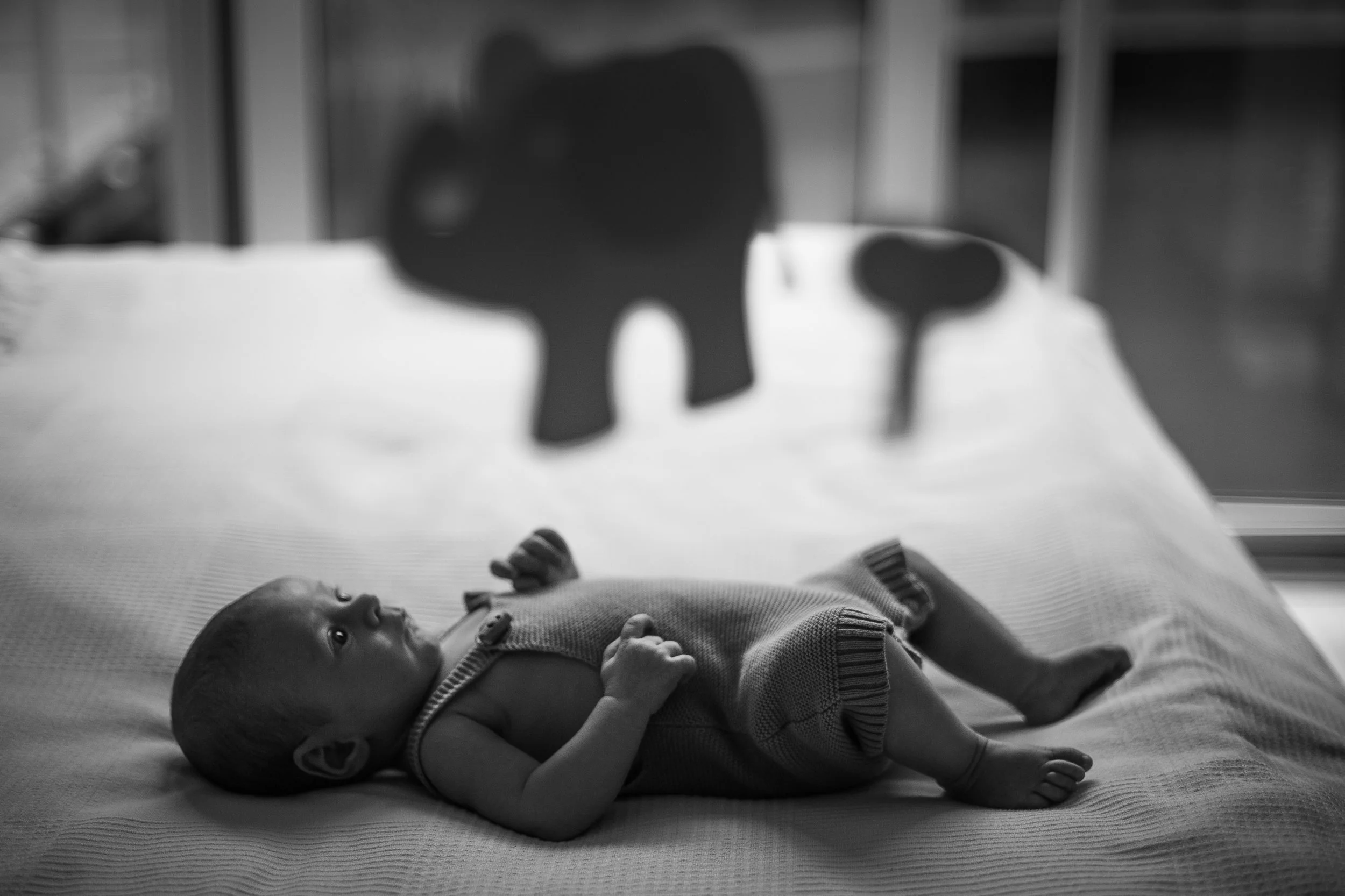 Leo_family_ (7 of 59).jpg