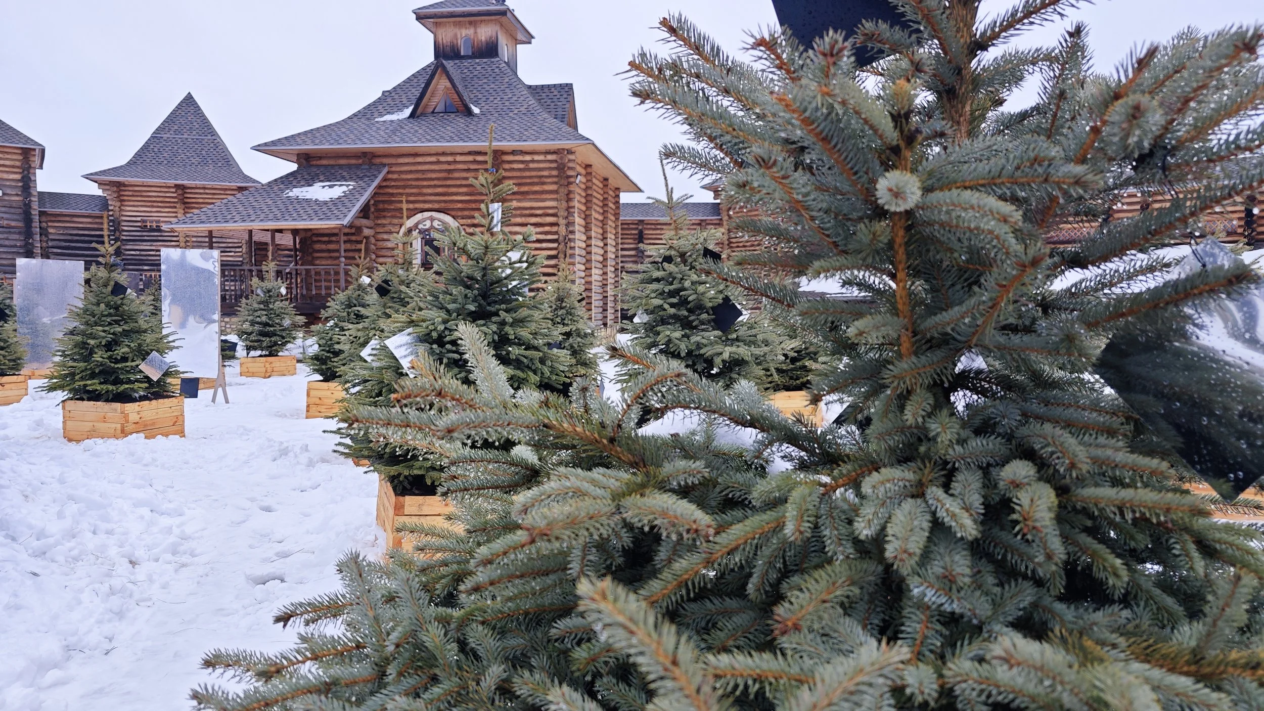 IMG_20240119_153958 (1).jpg