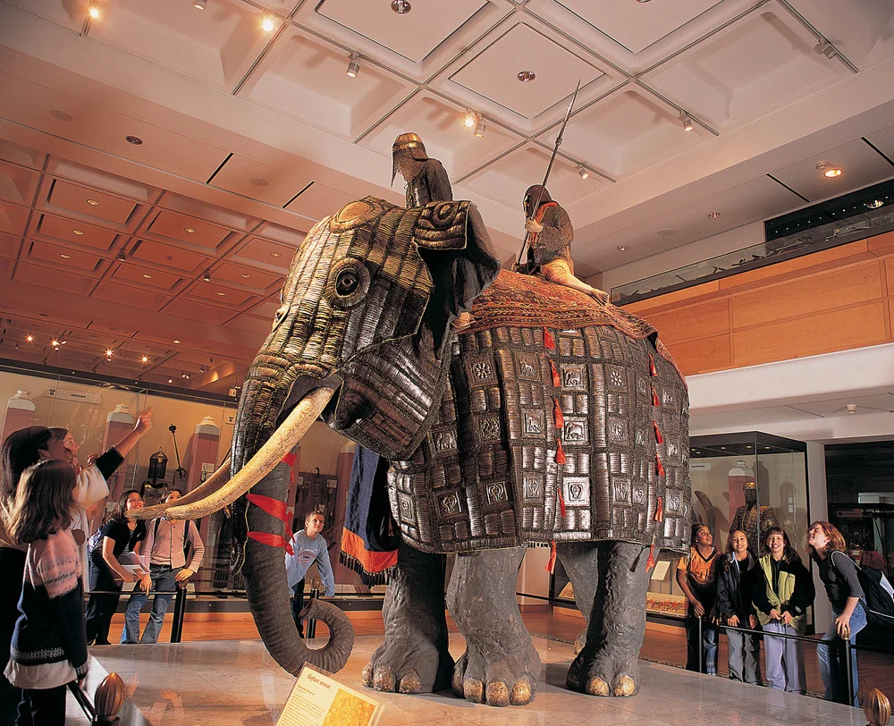 Elephant.jpg