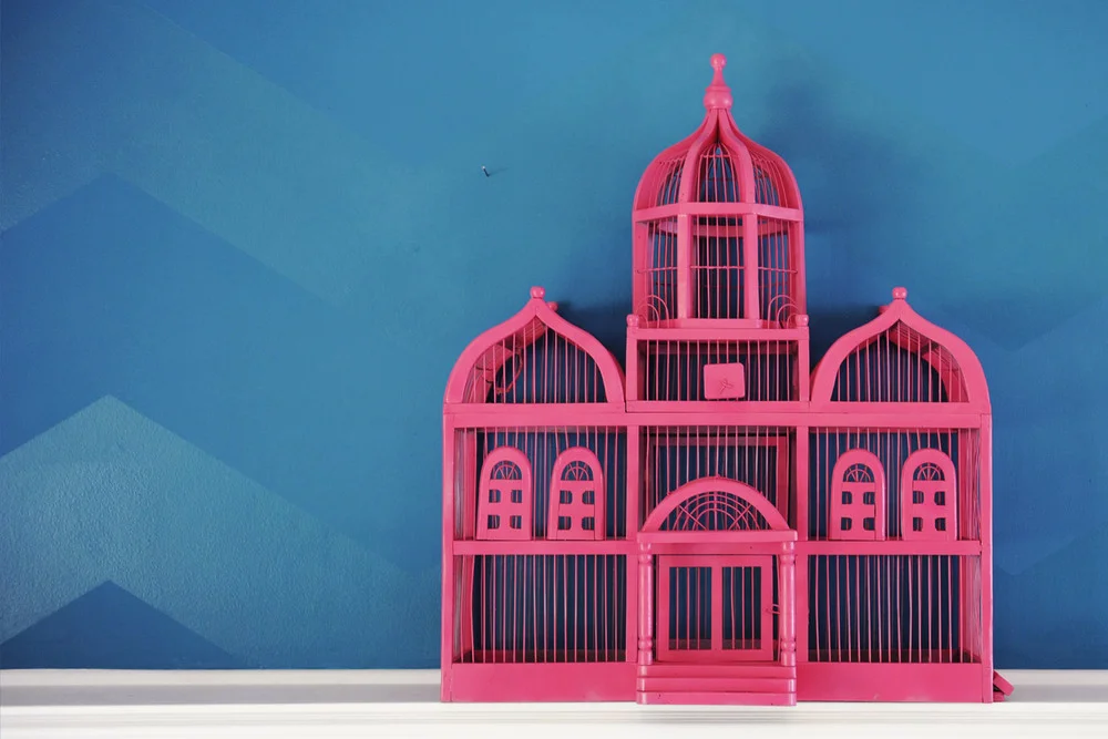 large hot pink bird cage daily rental