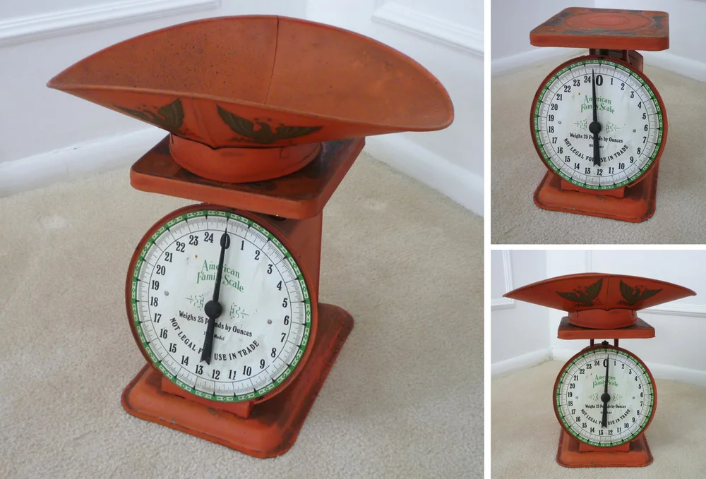 red scale daily rental