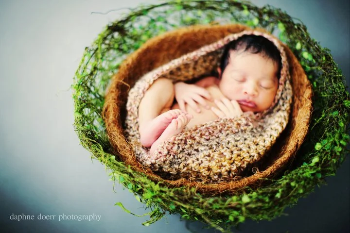 leafy bowl daily rental