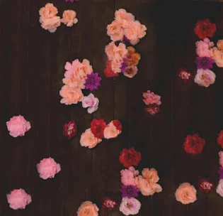 floral vinyl back drop daily rental