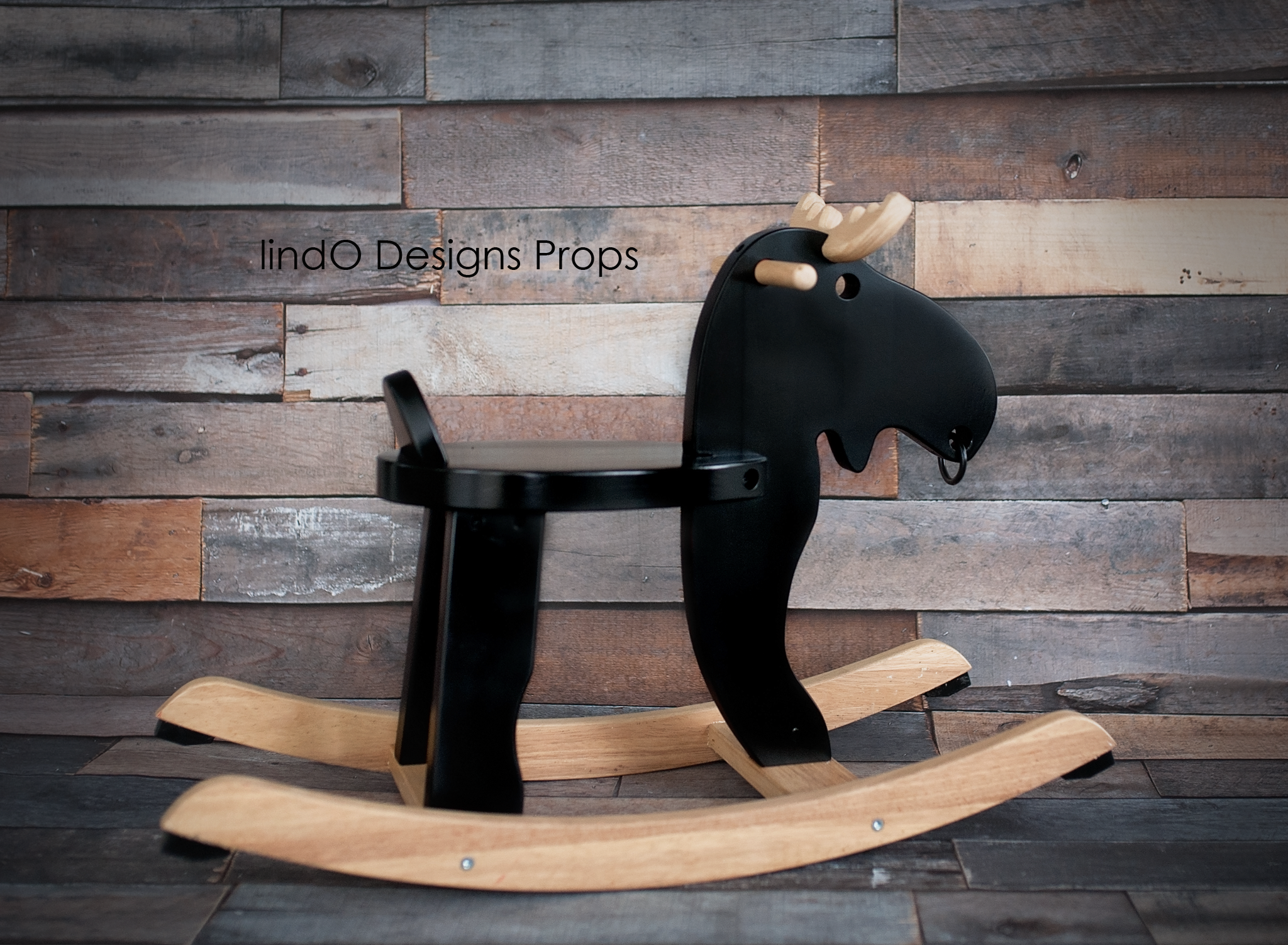 _DSC1695.png