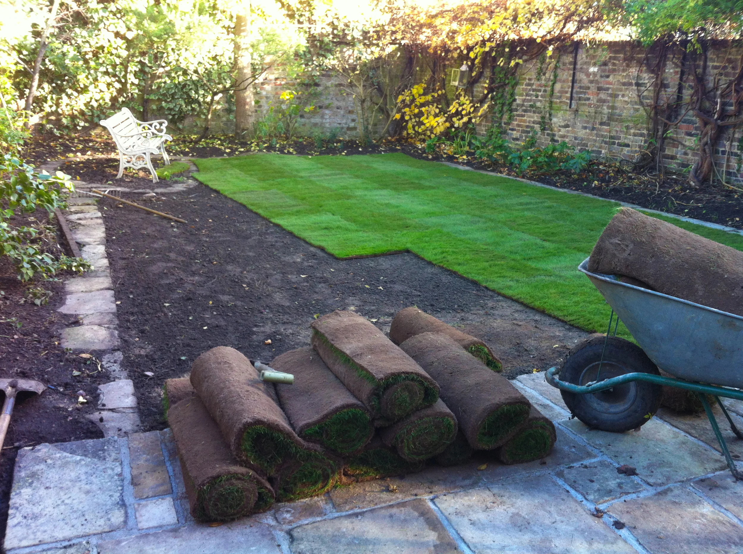 New Lawn 2 recolor.jpg