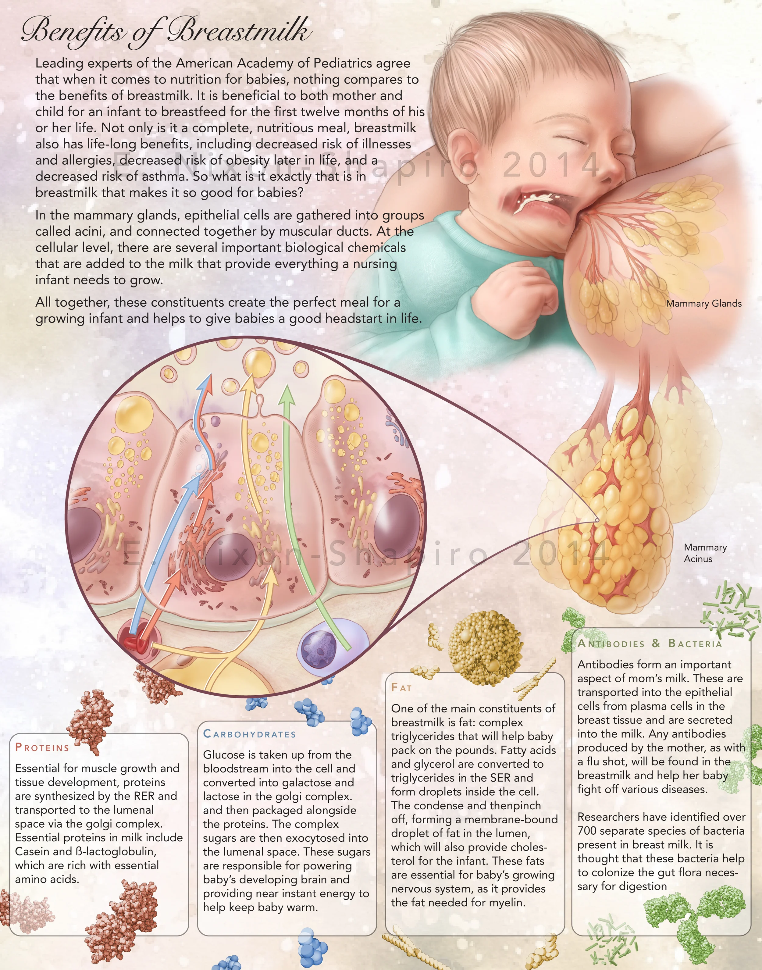 benefits_of_breastmilk.jpg