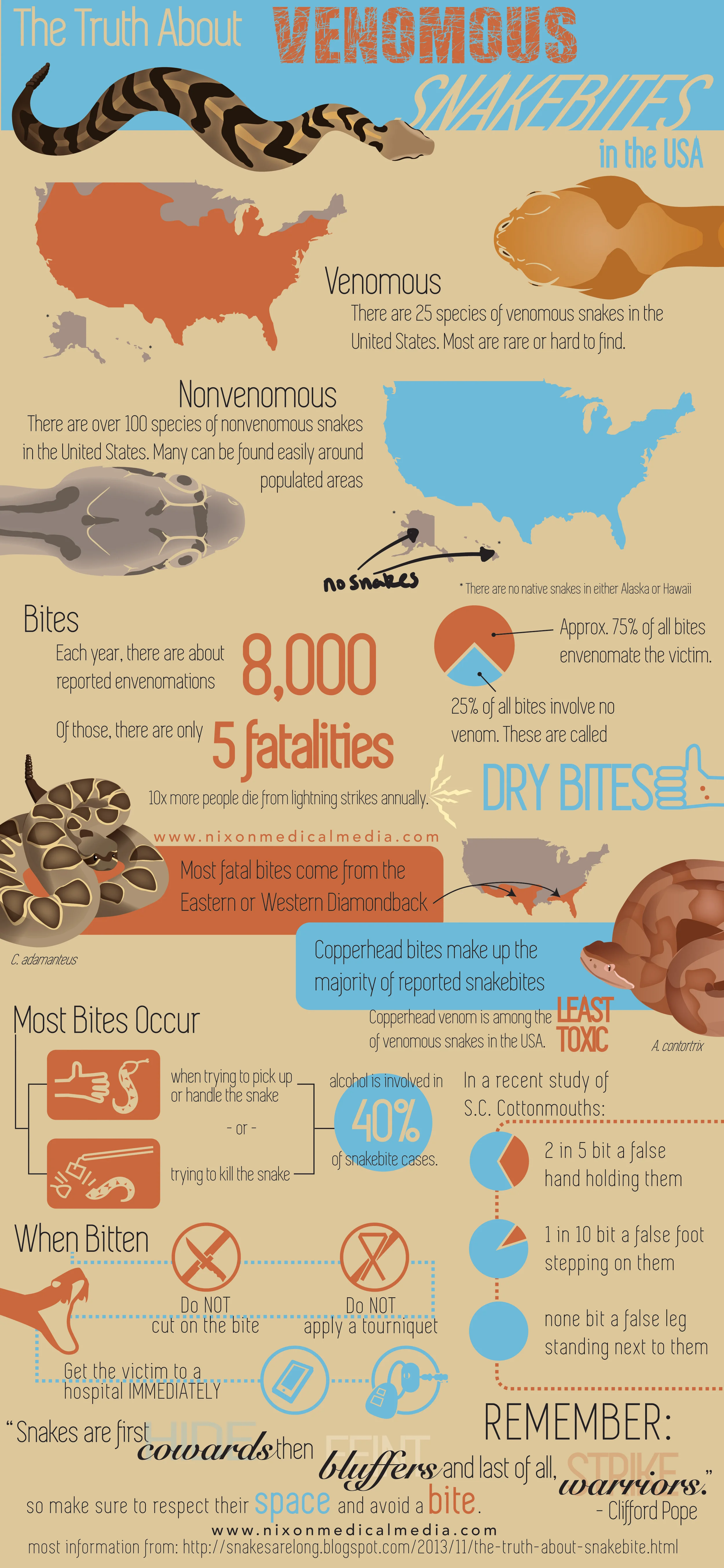 The Truth About Venomous Snakes in the USA