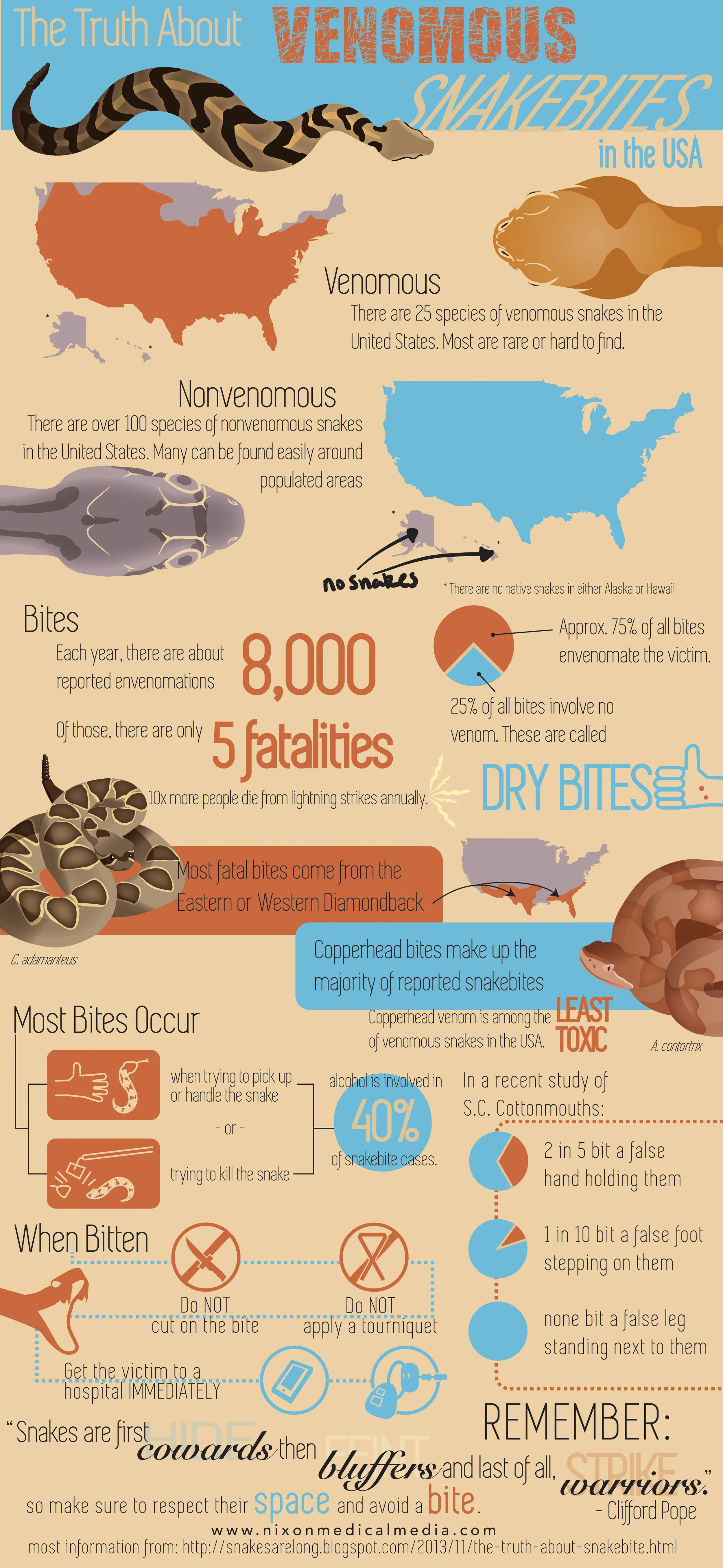 infographic.jpg