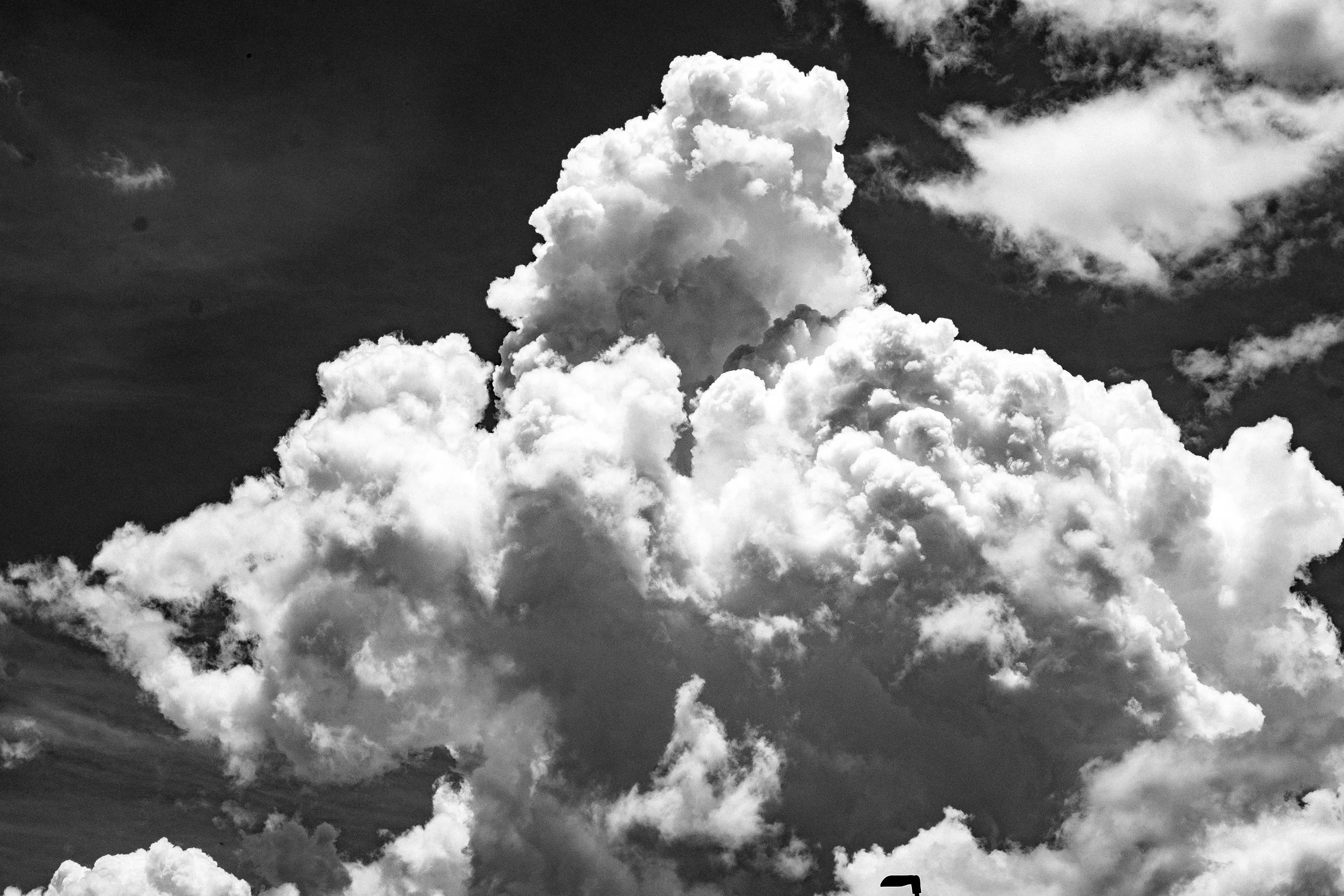 20190702-DSCF5547.jpg