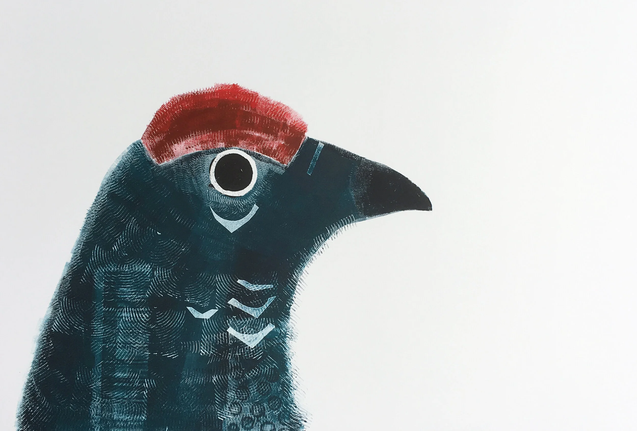 23 Spruce Grouse.jpg